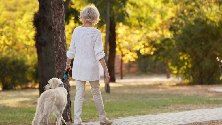 Fun Part Time Jobs for Retirees